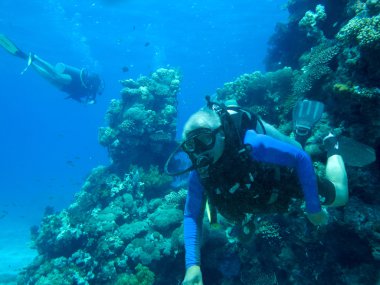 Scuba diver ve mercan