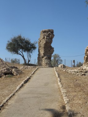Ashkelon Milli Parkı