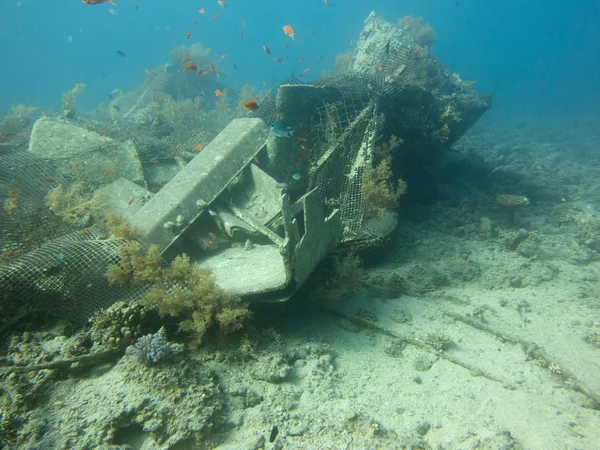 dalış sitesi Üniversitesi