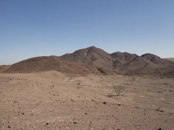Аравская пустыня — стоковое фото