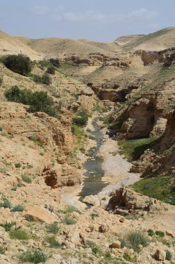 Ein prat Milli Parkı İsrail