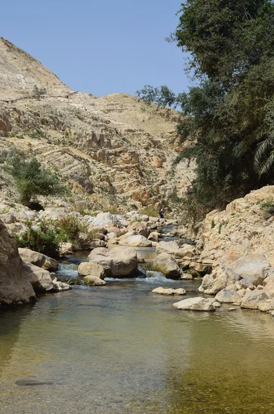 Ein prat park narodowy Izraela — Zdjęcie stockowe