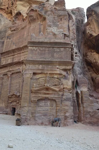 The road to Petra — Stock Photo, Image