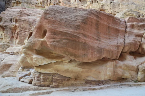 La route de Petra — Photo