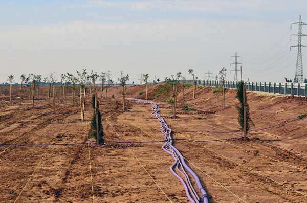 дорога номер 9
