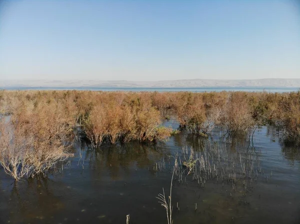 Västkusten Galileiska Sjön Även Kallad Tiberiasjön Kinneret Eller Kinnereth Sötvattensjö — Stockfoto