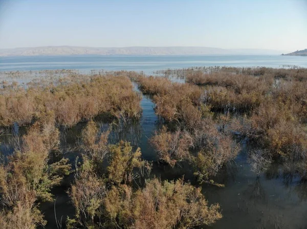 Västkusten Galileiska Sjön Även Kallad Tiberiasjön Kinneret Eller Kinnereth Sötvattensjö — Stockfoto