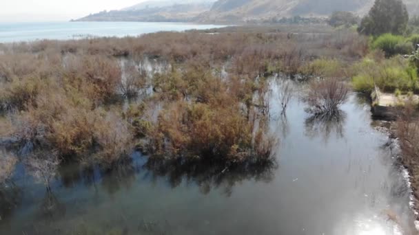 Costa Occidentale Del Mar Galilea Chiamato Anche Lago Tiberiade Kinneret — Video Stock