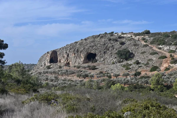 Голуби Пещеры Природного Заповедника Западной Окраине Долины Бейт Хакерем Кластером — стоковое фото