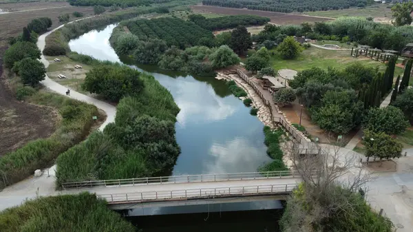 Bridge Freshwater Turtle Park Best Place See Soft Bodied Turtles — 图库照片