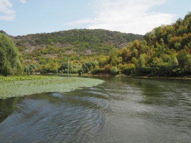Skadar Lake is the largest lake at the Balkan Peninsula, with fresh water and one of the largest national parks in Montenegro