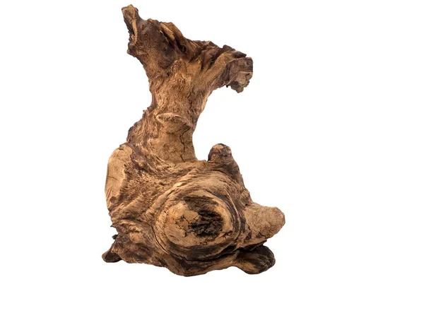 Stylizowana Figura Ryby Korzenia Drzewa Odizolowanym Białym Tle — Zdjęcie stockowe