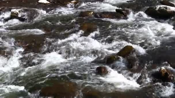 Turbulent river — Stock Video