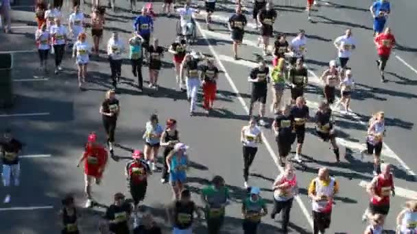 Marathon Runners — Stock Video