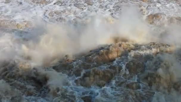 Rio de montanha selvagem — Vídeo de Stock