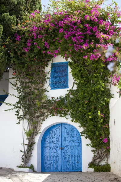 Las puertas azules y pared blanca de sidi bou dijo, Túnez — Foto de Stock
