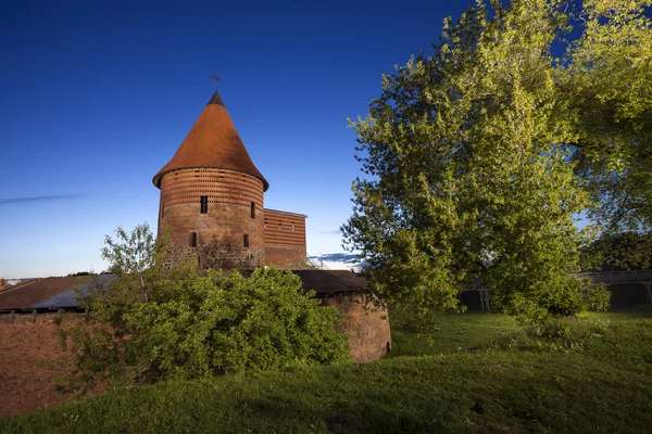 Castello di Kaunas, Lituania — Foto Stock