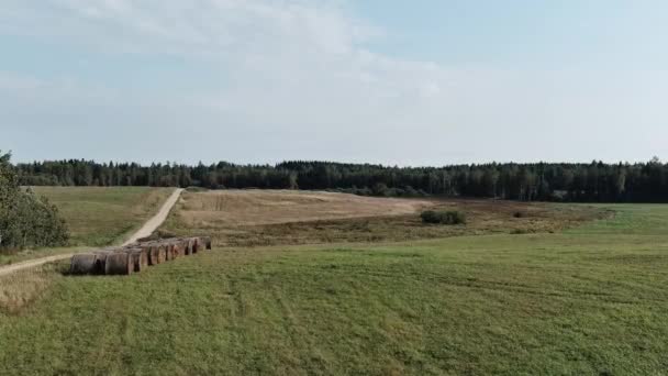 Letonya 'daki tarımsal arazi ve çayır alanlarından geçen kırsal yol manzarası — Stok video