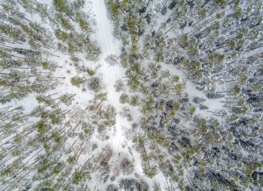 Aerial view of snow covered forest with road as seen from drone