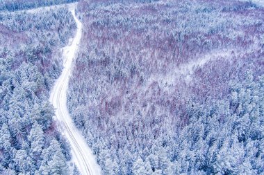 Aerial view of snow covered forest with road as seen from drone