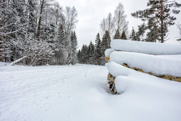 Snow Covered Forest Road Pile Birch Timber Side — Foto de Stock