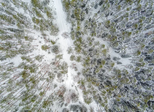 Aerial view of snow covered forest with road as seen from drone