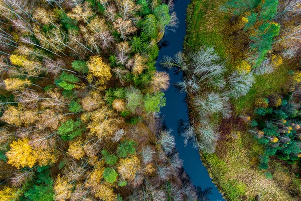 Спокойная Маленькая Лесная Речка Вид Сверху Вниз Дрона Латвия Поздняя — стоковое фото