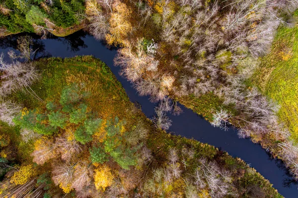Спокойная Лесная Река Вид Сверху Вниз Дрона Латвия Поздняя Осень — стоковое фото