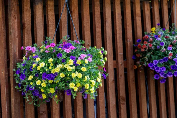 Pot Bright Blooming Flowers Hanging Wooden Rustic Barn Wall — Stockfoto