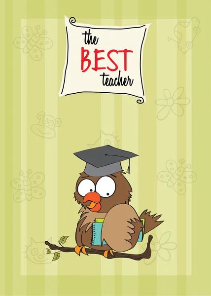 Owl Teacher — Stock Vector