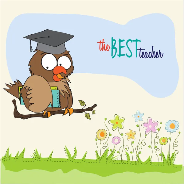 Owl Teacher — Stock Vector