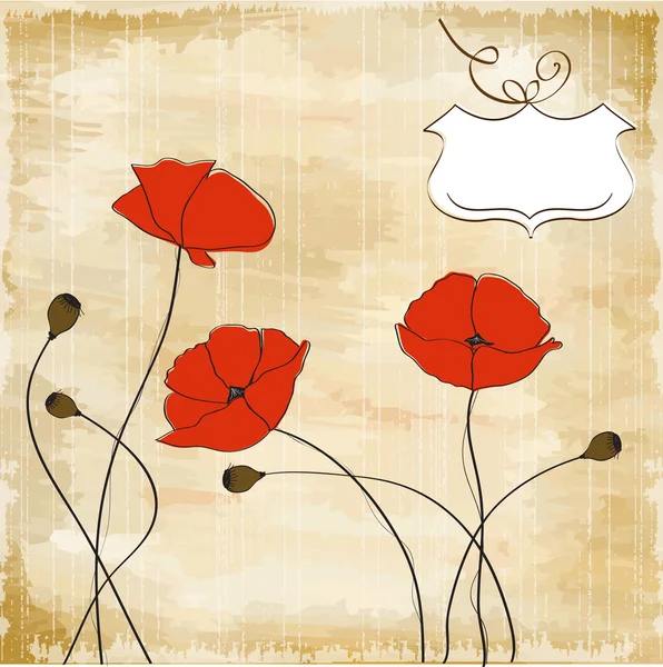 Poppies çiçek arka plan — Stok Vektör