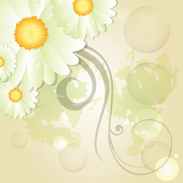 Cute floral background — Stock Vector