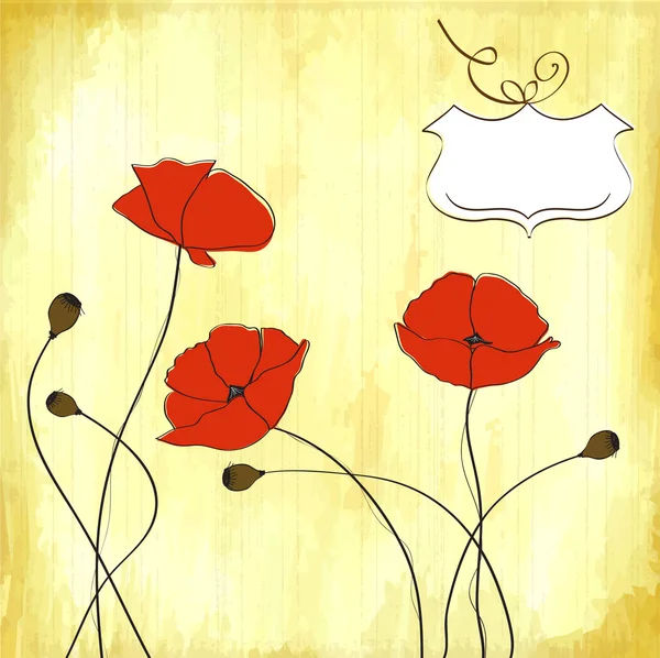 Poppies floral background — Stock Vector