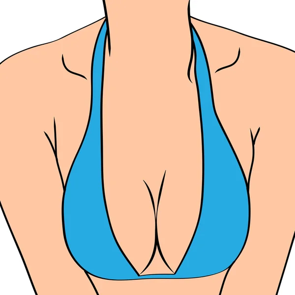 Weibliche sexy Brust — Stockvektor