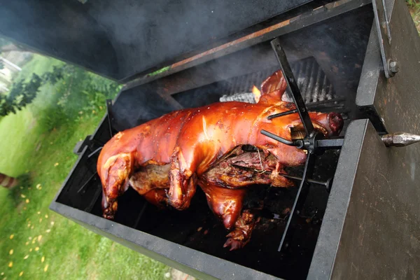 Gegrilltes Schwein — Stockfoto