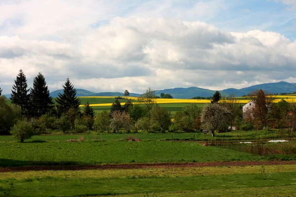 Schönes tschechisches Land — Stockfoto