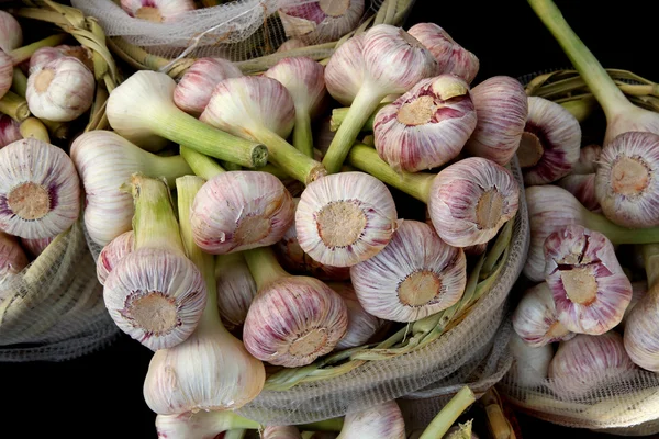 Fresch garlic from the farm — Stock Photo, Image