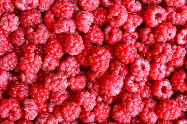 Himbeeren Hintergrund — Stockfoto