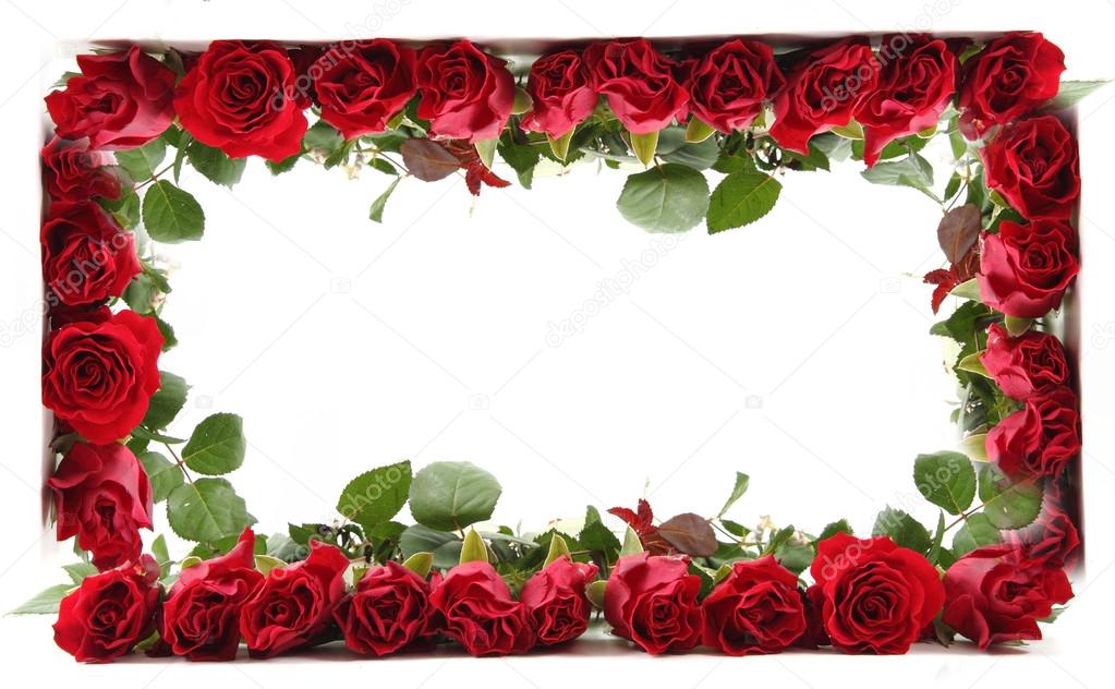 red roses frame