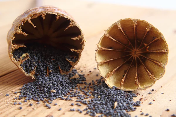 Blue poppy seeds — Stock Photo, Image