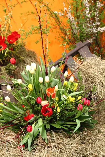 Jarní květiny dekorace — Stock fotografie