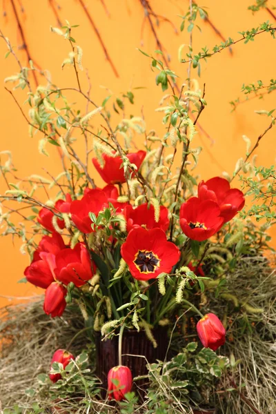 Красные тюльпаны весной — стоковое фото