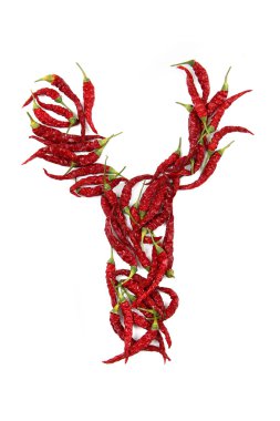 y - hot chili'alfabe işareti