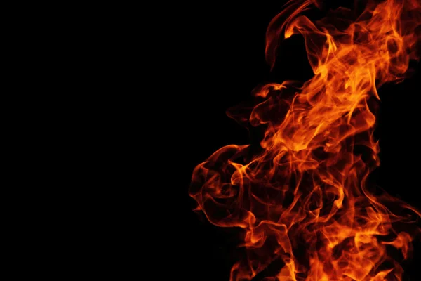 Fire background in the night — Stock Photo, Image