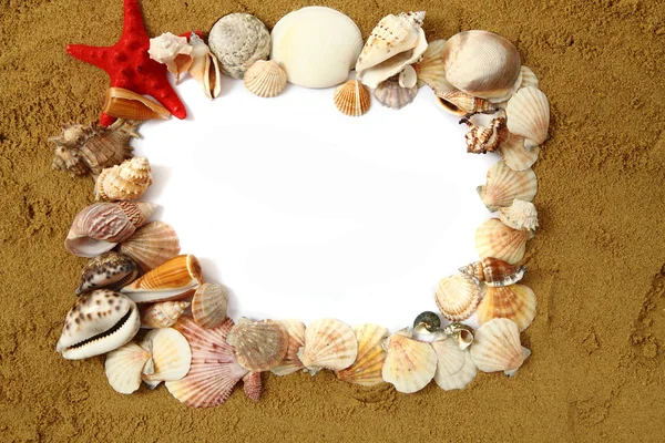 Sand frame with the shells — Stock Photo, Image