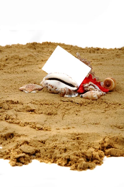 Carta bianca sulla spiaggia con le conchiglie — Foto Stock