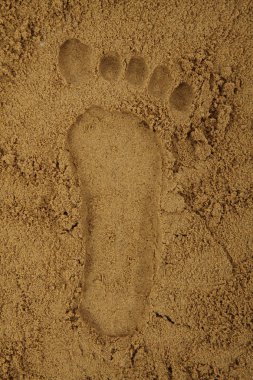 Kumda Ayak İzi