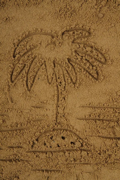 Desenho de palma na areia — Fotografia de Stock