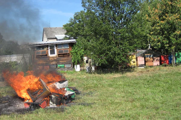 Epidemy in the bee farming - destroying beehives — Stock Photo, Image